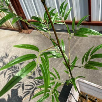 仿真竹子 仿真竹子